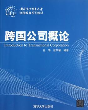 跨国公司概论