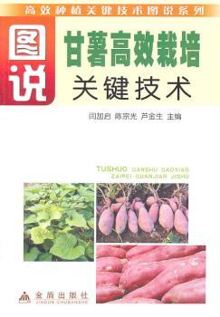 图说甘薯栽培关键技术