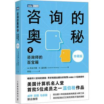 咨询的奥秘2：咨询师的百宝箱（珍藏版）