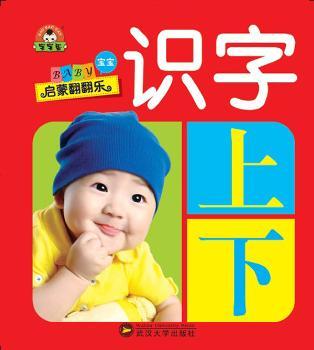 （宝宝蛋）宝宝启蒙翻翻乐：识字