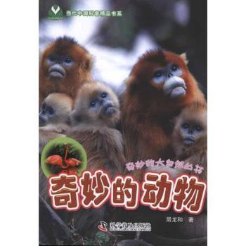 奇妙的动物