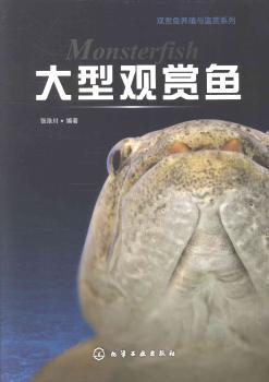 大型观赏鱼