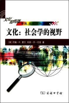 文化(社会学的视野)