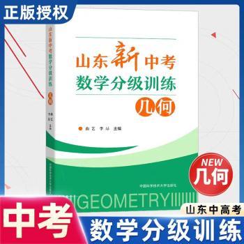山东新中考数学分级训练-几何