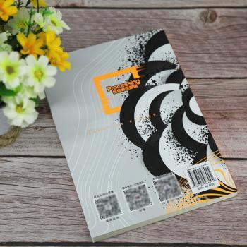 Processing创意编程指南