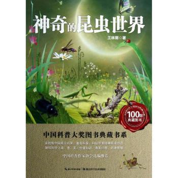 神奇的昆虫世界
