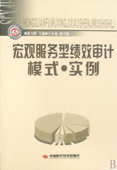 宏观服务型绩效审计模式·实例