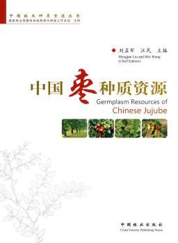 中国枣种质资源