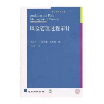 风险管理过程审计