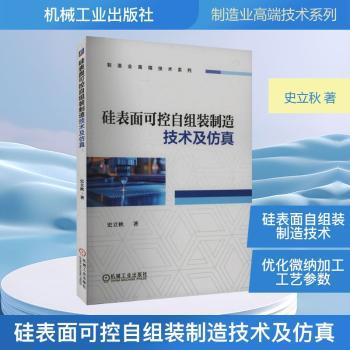 硅表面可控自组装制造技术及仿真