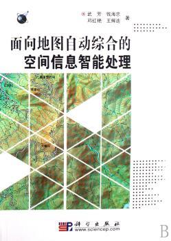面向地图自动综合的空间信息智能处理