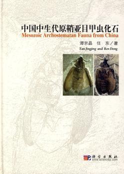 中国中生代原鞘亚目甲虫化石