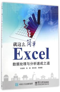 Excel数据处理与分析速成之道