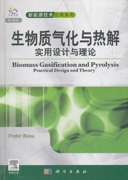 生物质气化与热解：实用设计与理论（导读版）