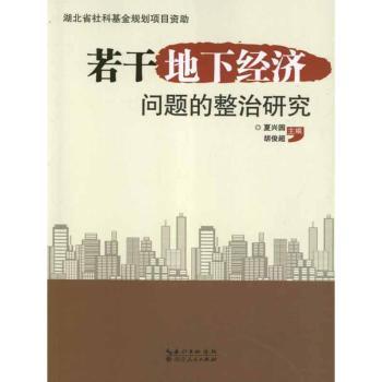 若干地下经济问题的整治研究