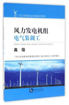 风力发电机组电气装调工:高级