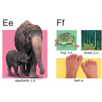 快乐宝贝认字母:ABC:ABC