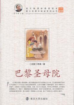 青少年课外阅读系列丛书：巴黎圣母院