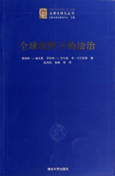视野下的法治