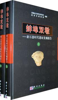 蚌埠双墩:新石器时代遗址发掘报告(全2册)(精装)