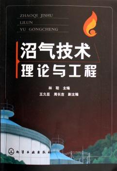 沼气技术理论与工程