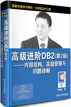 高级进阶DB2:内部结构、高级管理与问题诊断