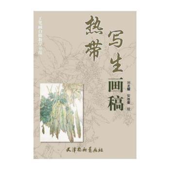 热带写生画稿