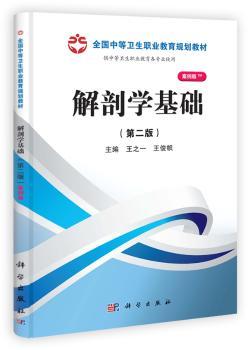 解剖学基础