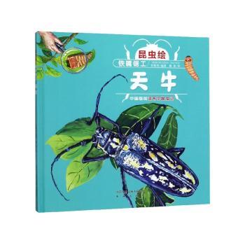 铁嘴锯工 天牛:精细手绘本