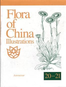 Flora of China Illustrations-20-21