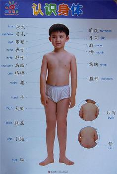 认识身体.人物职业-阳光宝宝双面大挂图