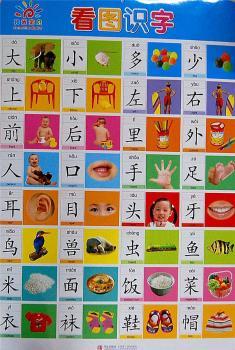 看图识字-阳光宝宝双面大挂图