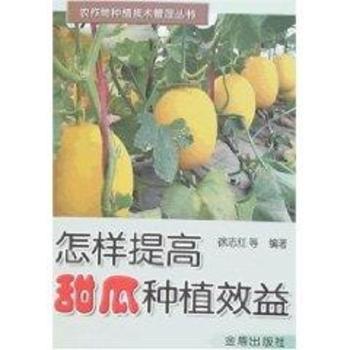 怎样提高甜瓜种植效益