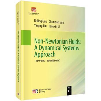 非牛顿流:动力系统方法:a dynamical systems approach
