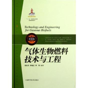 气体生物燃料技术与工程