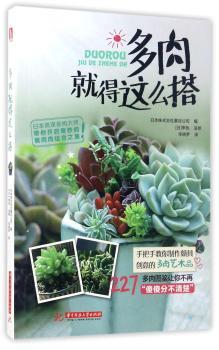 多肉就得这么搭