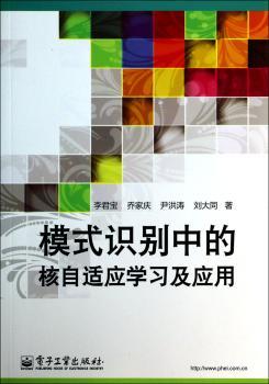 模式识别中的核自适应学习及应用