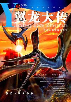 翼龙大传