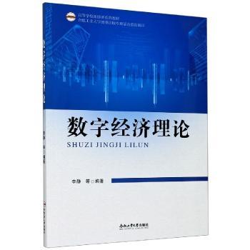 数字经济理论(高等学校新经济系列教材)