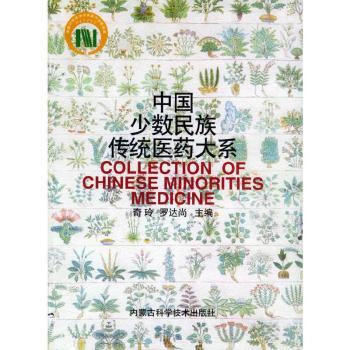 中国少数民族传统医药大系